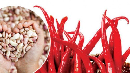 post banner picture